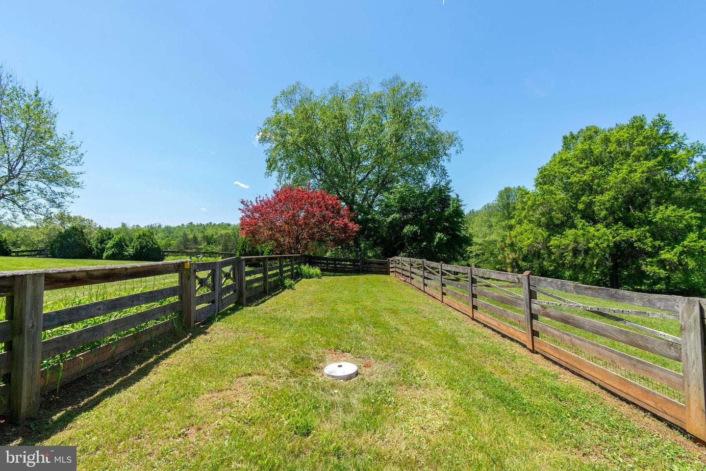 10813 Millridge Lane photo 45