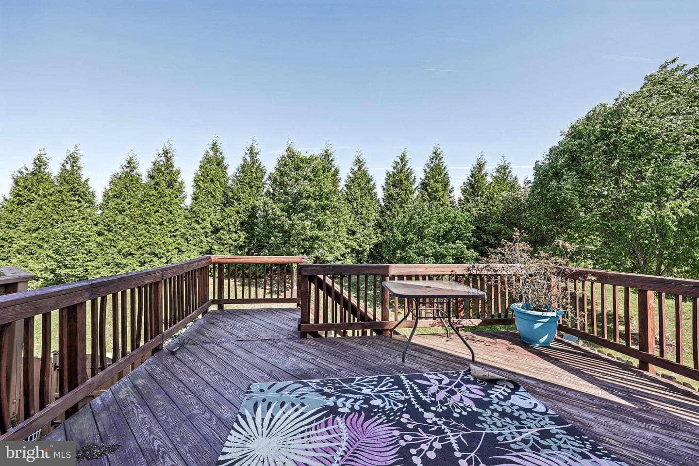 7217 Wytheville Circle photo 48