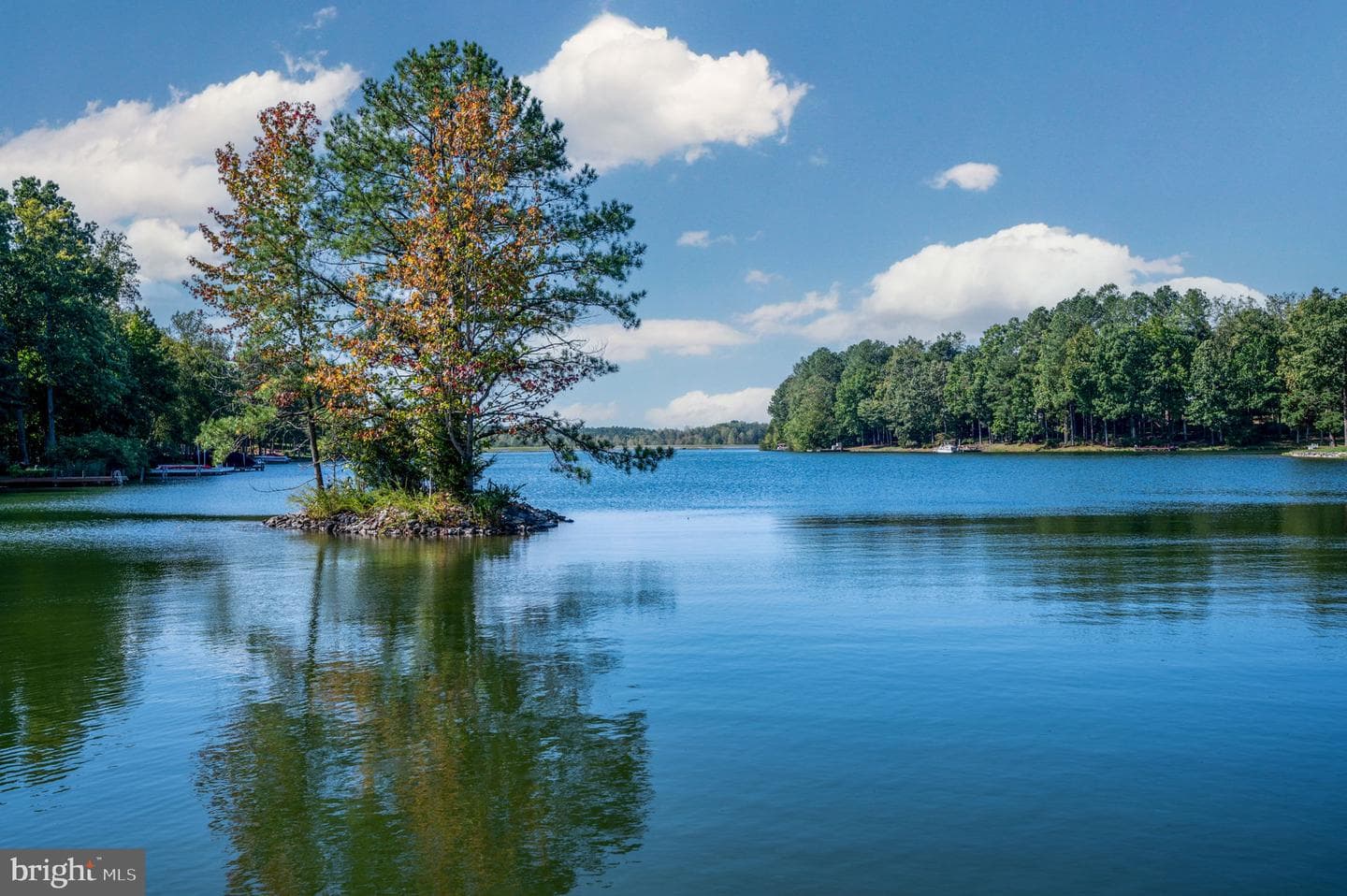11204 Fawn Lake Parkway photo 49
