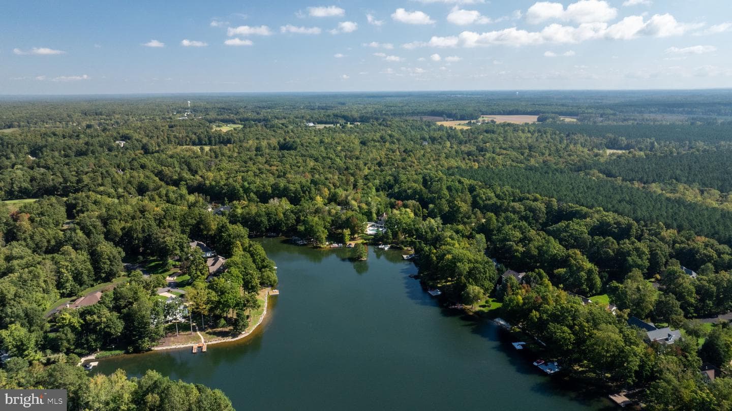 11204 Fawn Lake Parkway photo 50