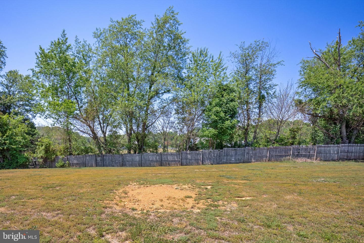 8128 Belmont Road photo 28