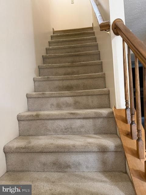 308 Cooper Street photo 15