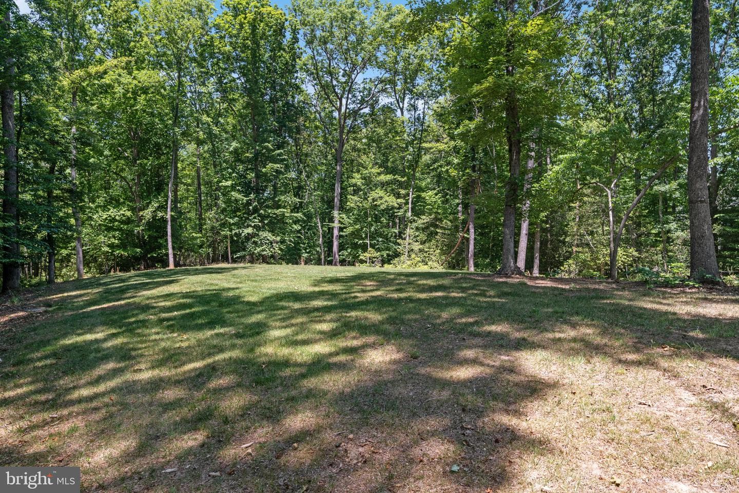 8007 Ashford Drive photo 66