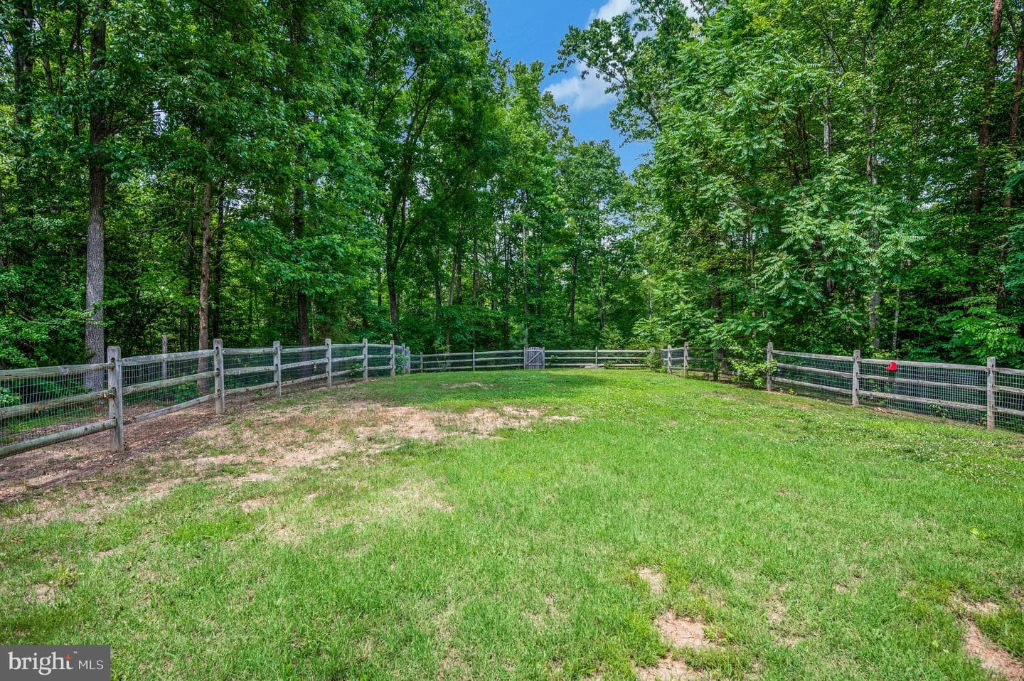 9007 Mcalister Court photo 50
