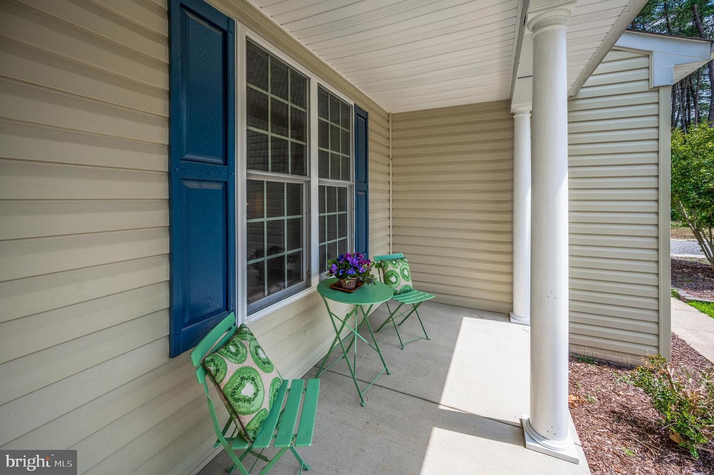 9007 Mcalister Court photo 6