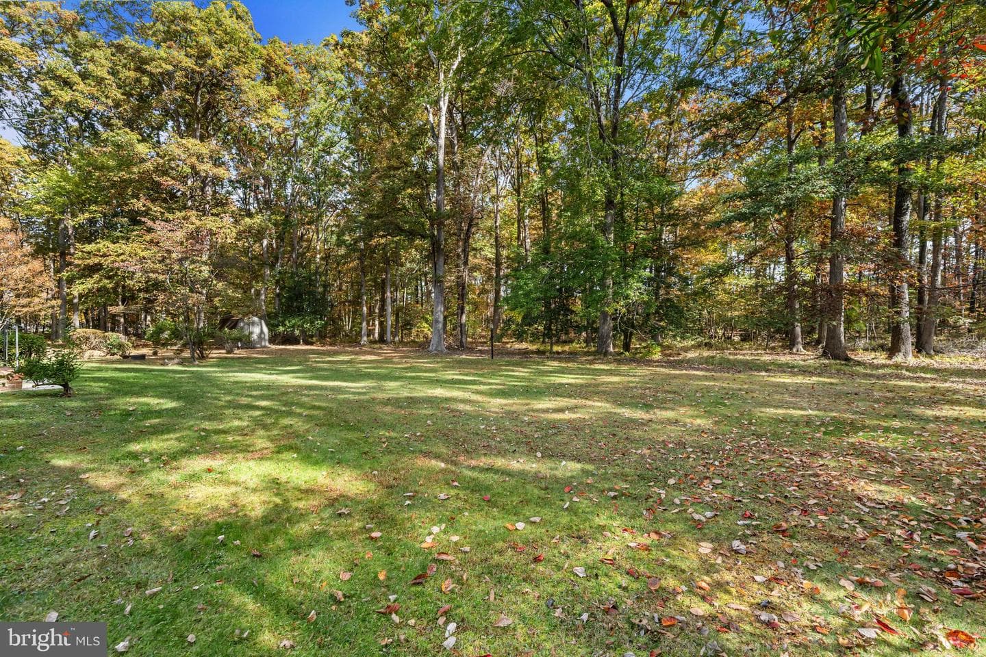 32 Carriage Hill Lane photo 29