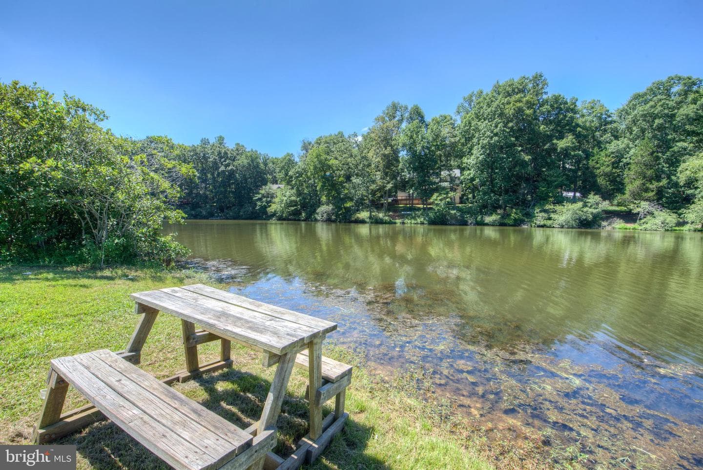12400 Salient Lane photo 40