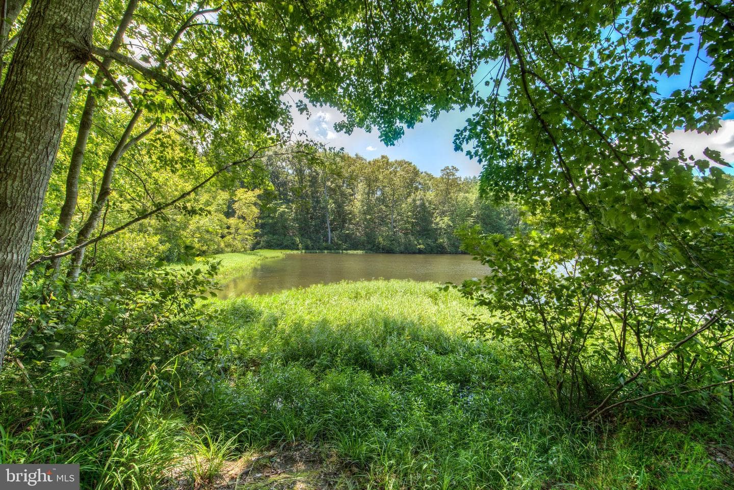 12400 Salient Lane photo 43