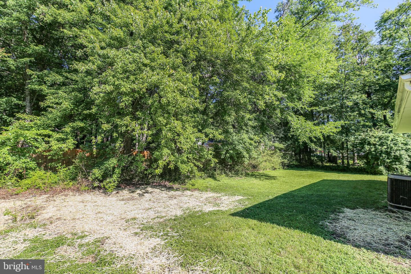 10802 Piedmont Drive photo 27