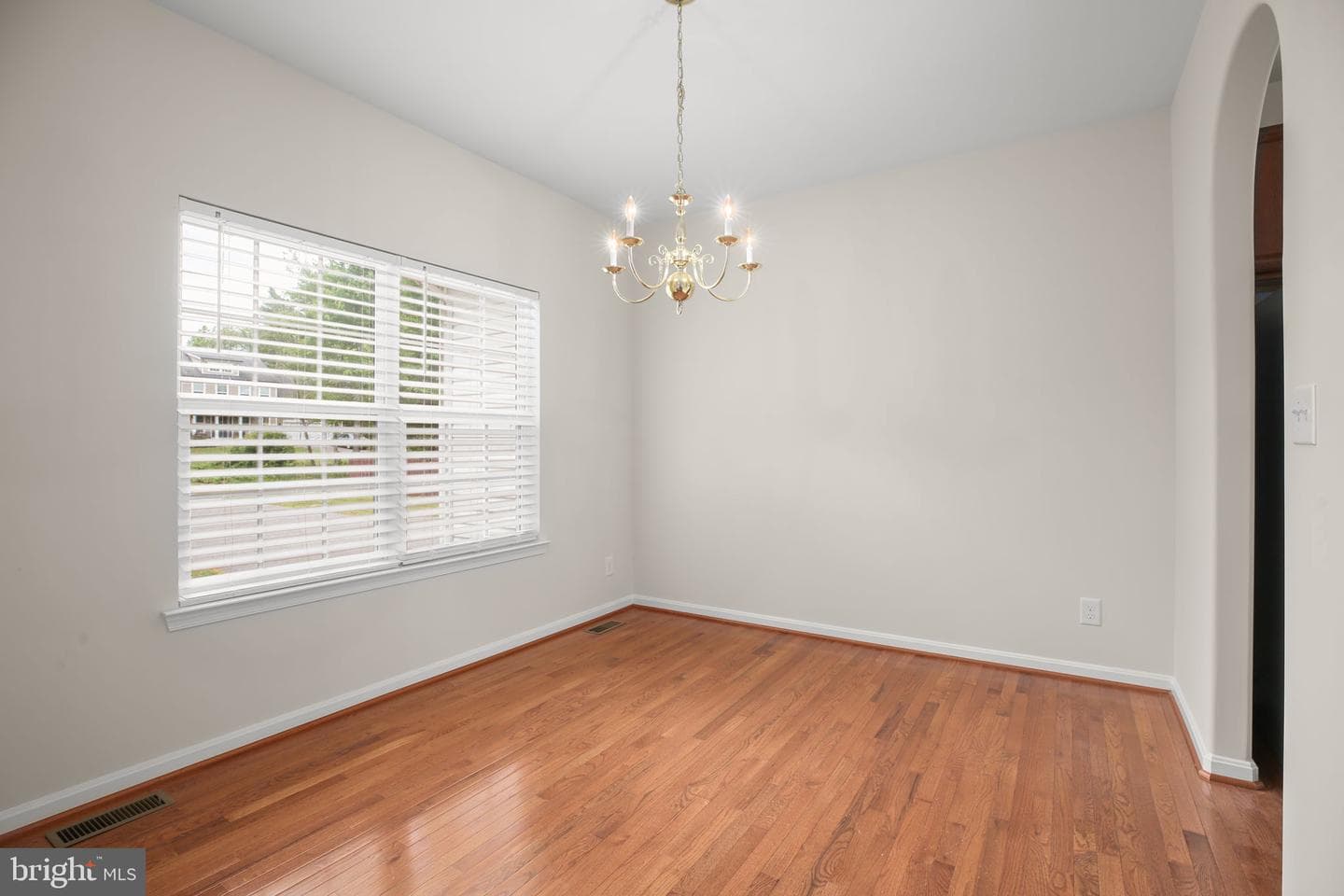 10509 Woodland Drive photo 10