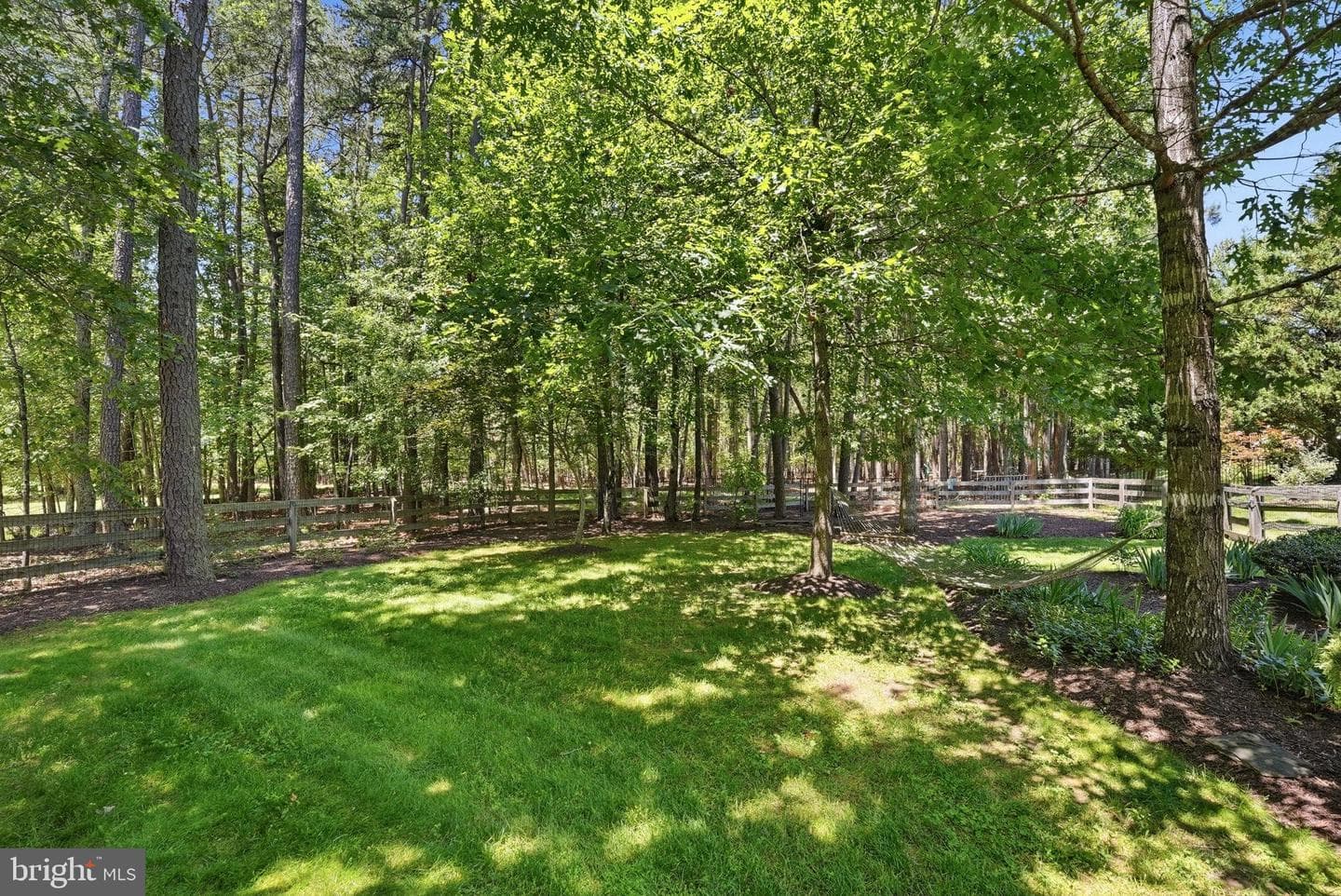 10702 Cedar Creek Drive photo 52