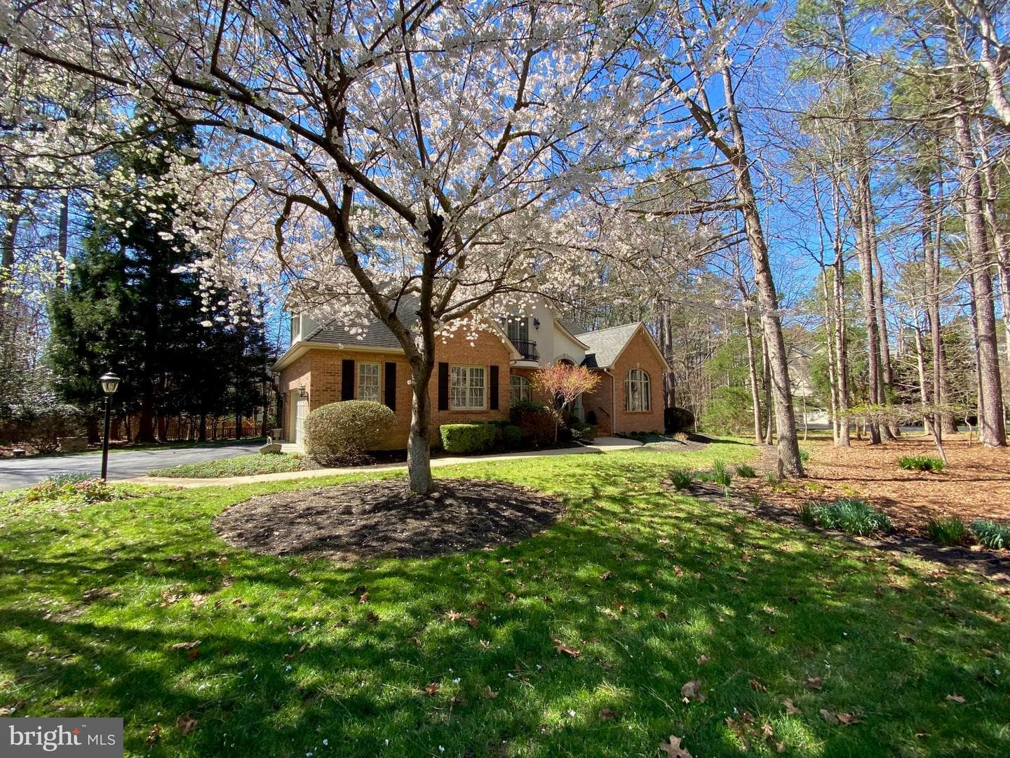 11608 Longstreet Drive photo 42