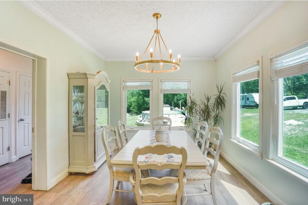 6617 Timberbrook Lane photo 18