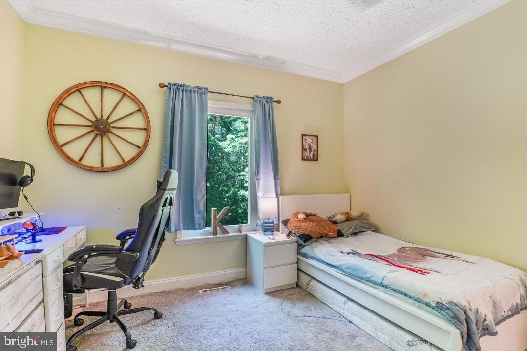 6617 Timberbrook Lane photo 27