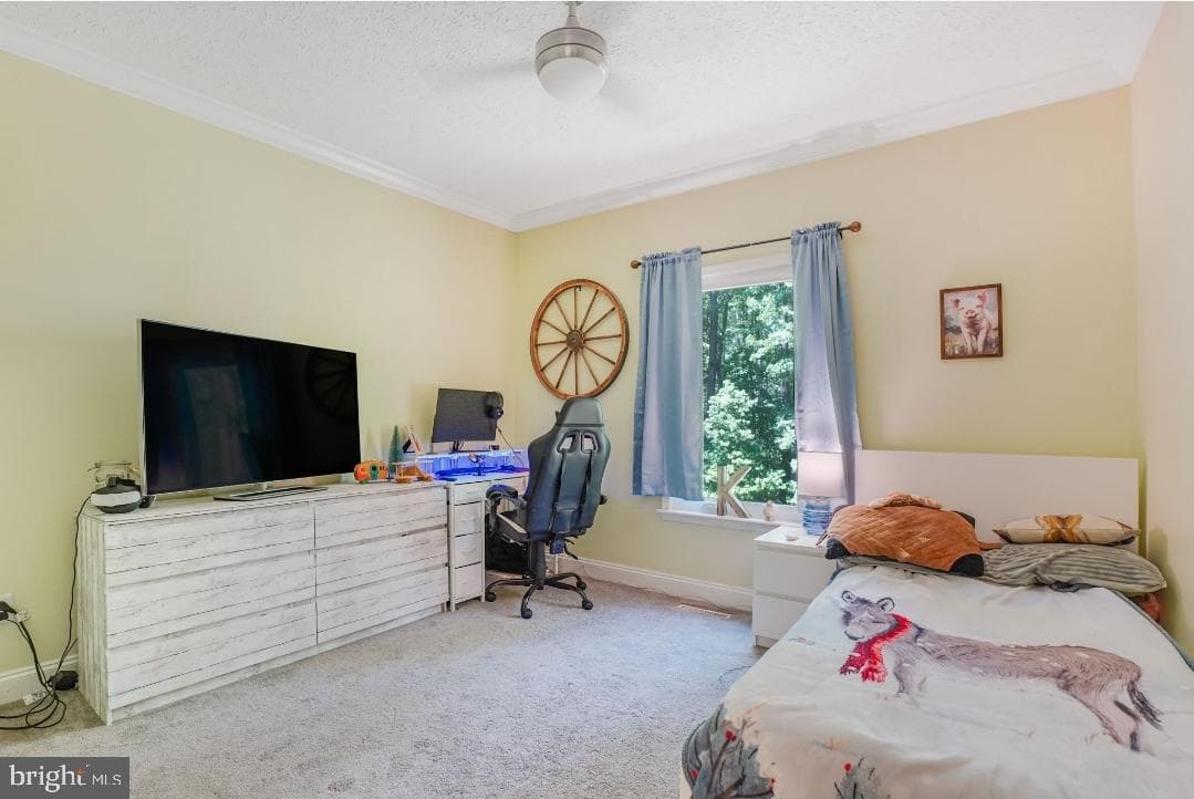 6617 Timberbrook Lane photo 28