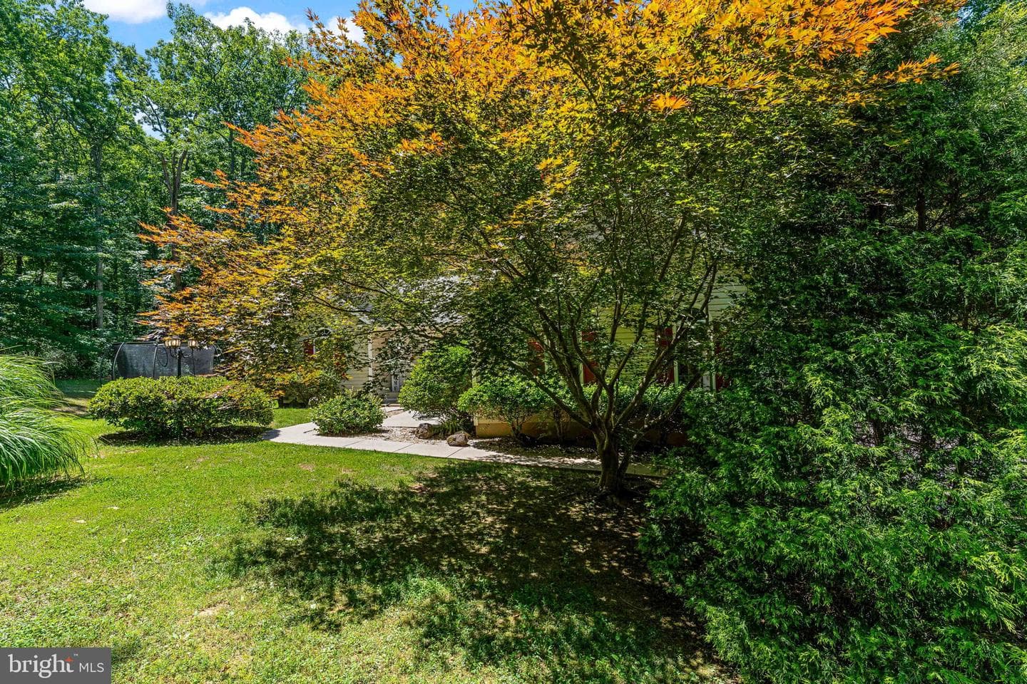 11704 Bleasdell Drive photo 4