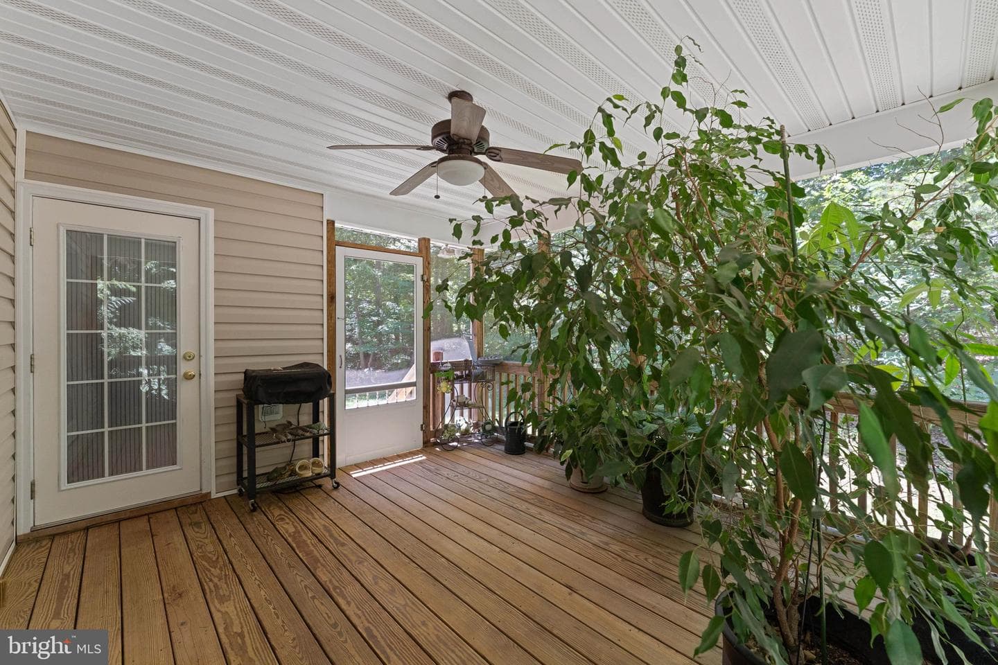 11704 Bleasdell Drive photo 40