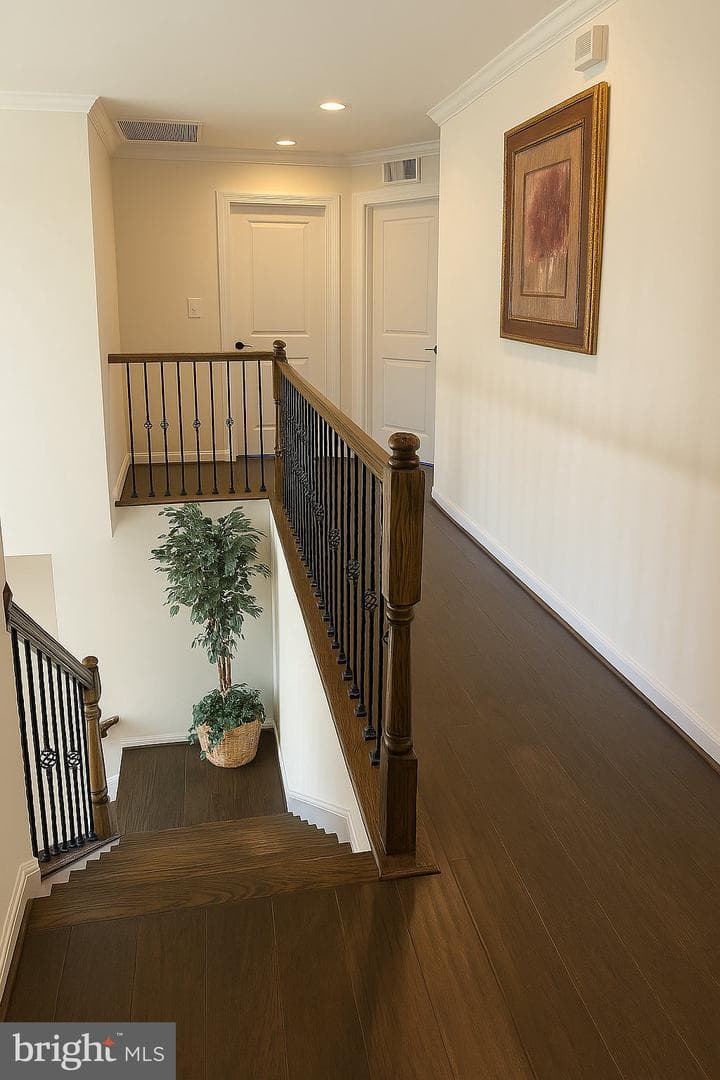 9933 Box Oak Court photo 11