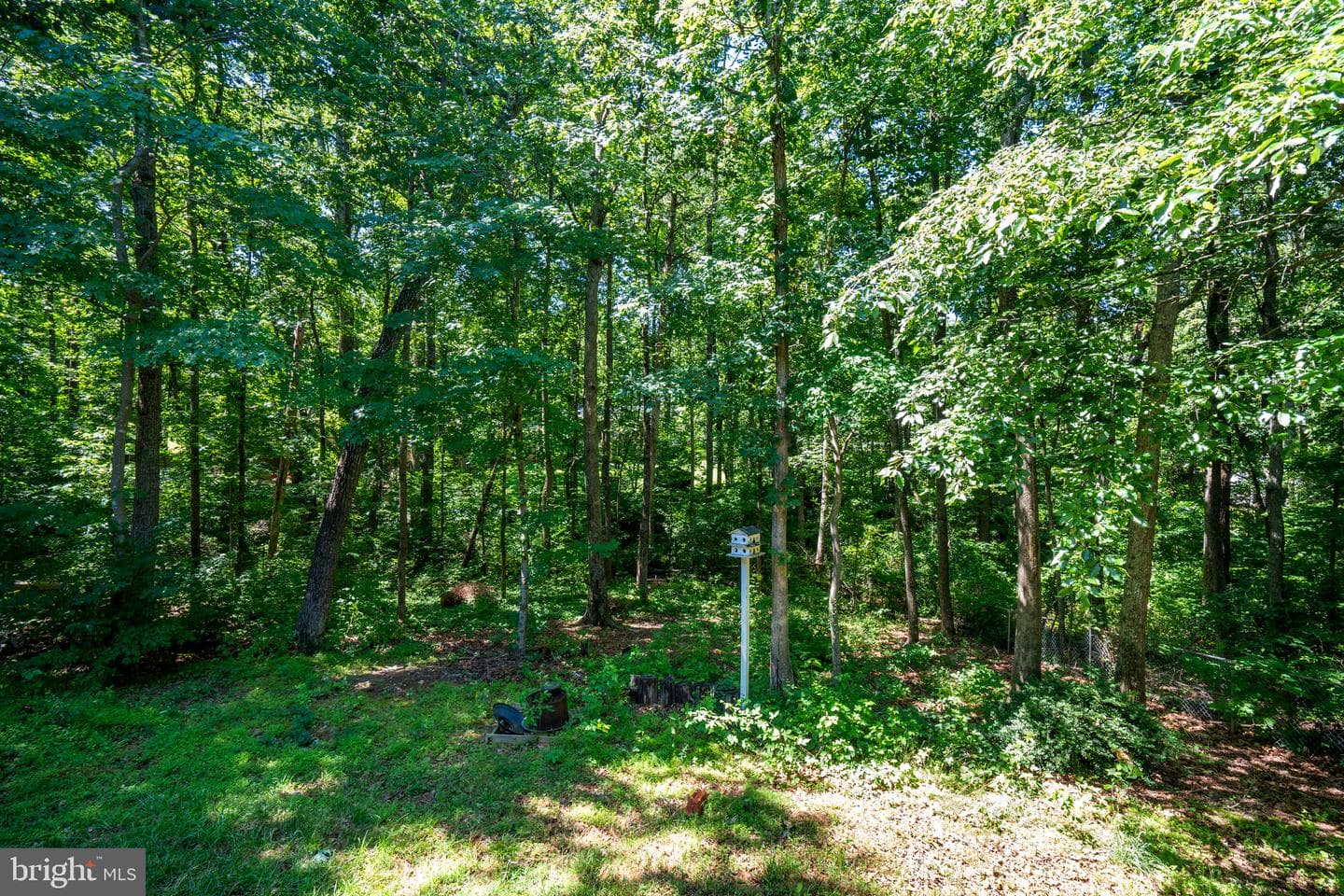 12816 Garrison Lane photo 36