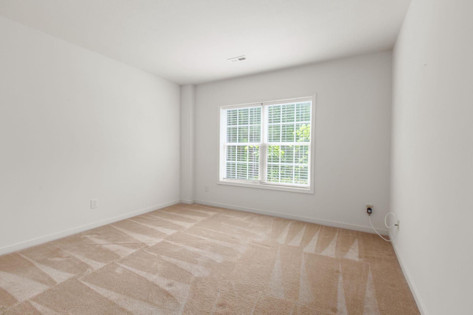 11703 Legacy Woods Drive photo 47
