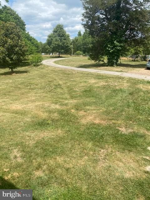 10201 Wallers Road photo 6