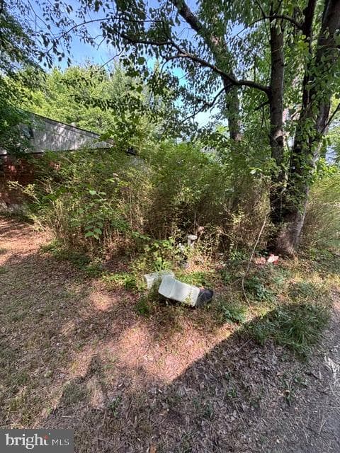 10528 Coles Lane photo 4