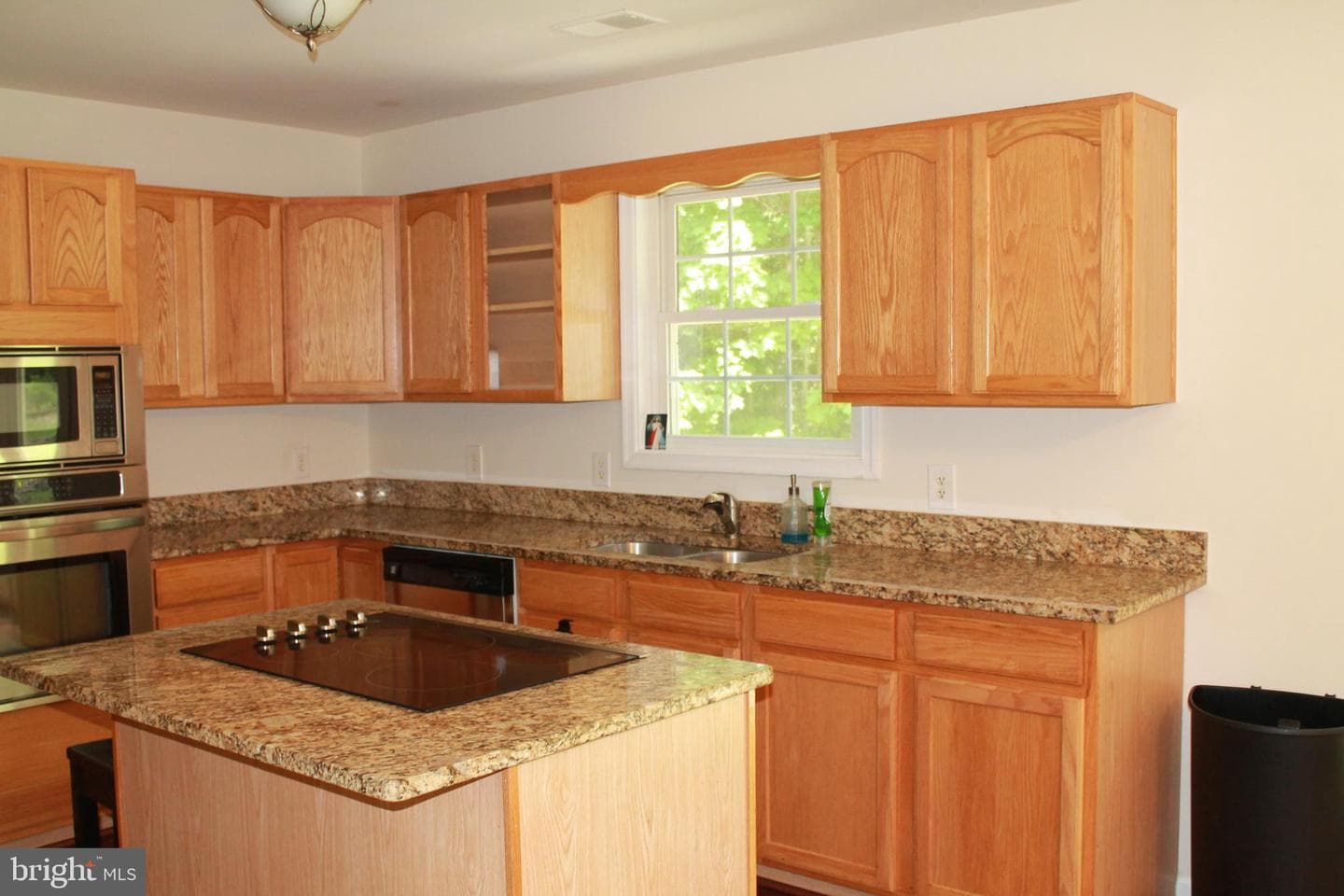 8531 Livingston Court photo 43