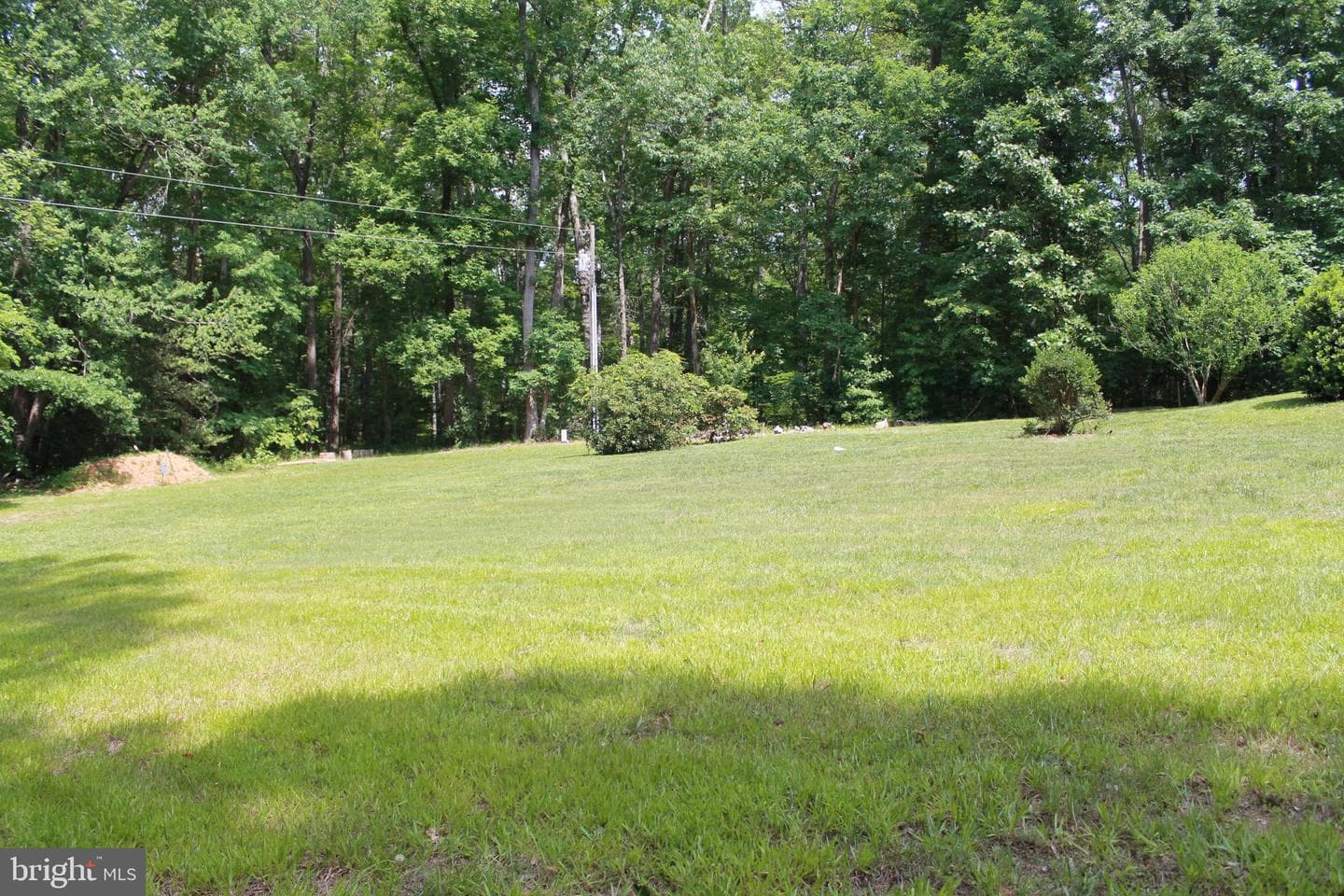 8531 Livingston Court photo 57