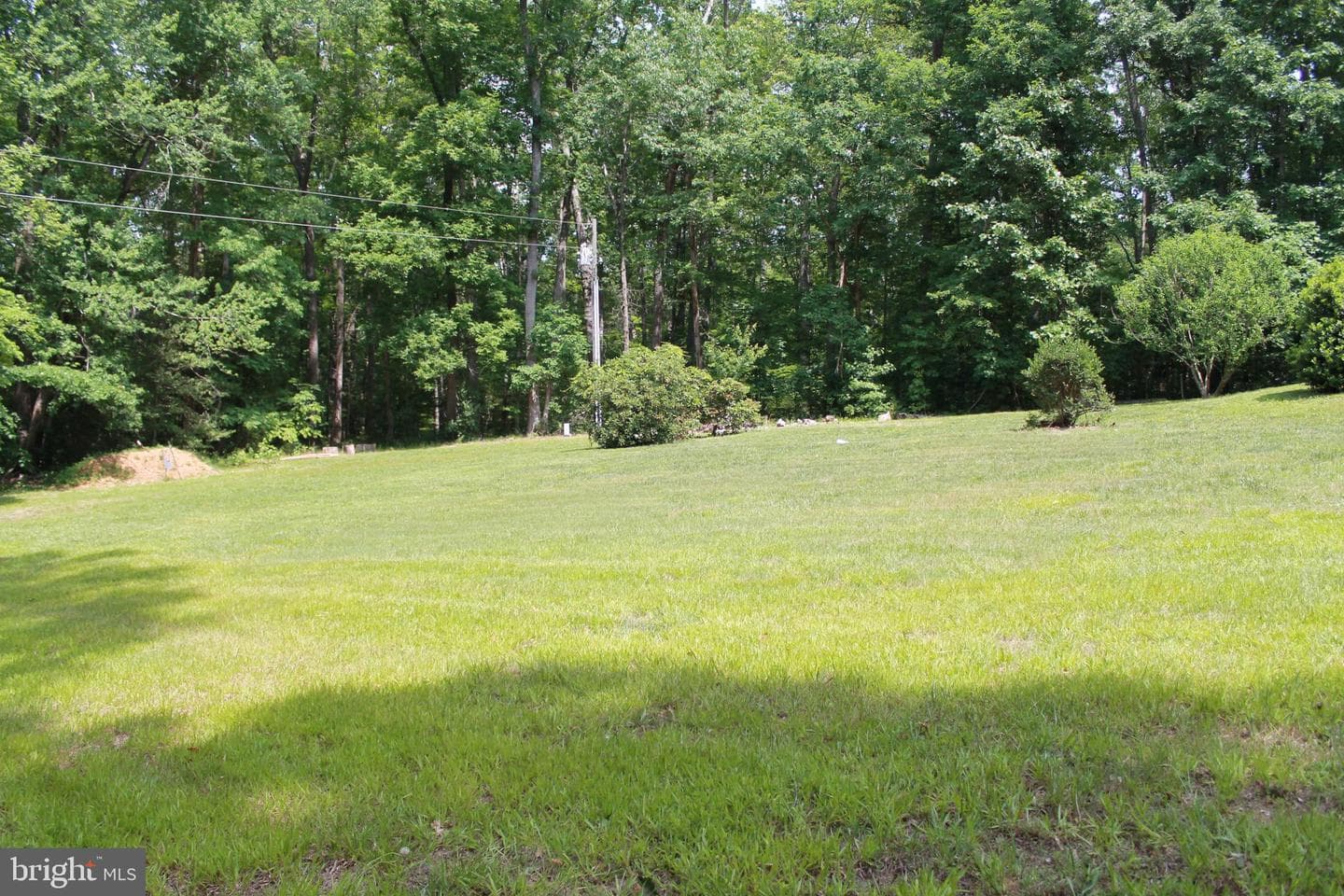 8531 Livingston Court photo 58