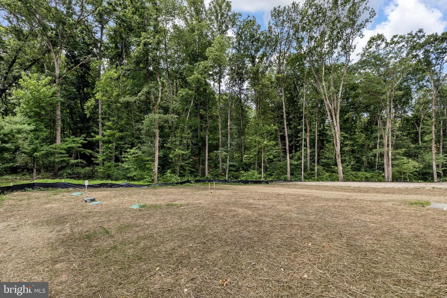 12902 Verrey Court photo 43