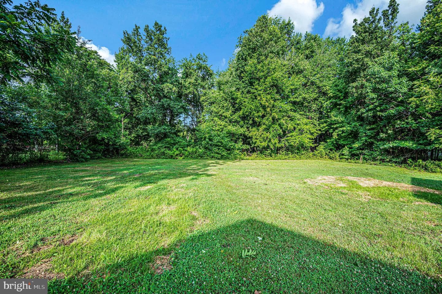 11226 Single Oak Road photo 13