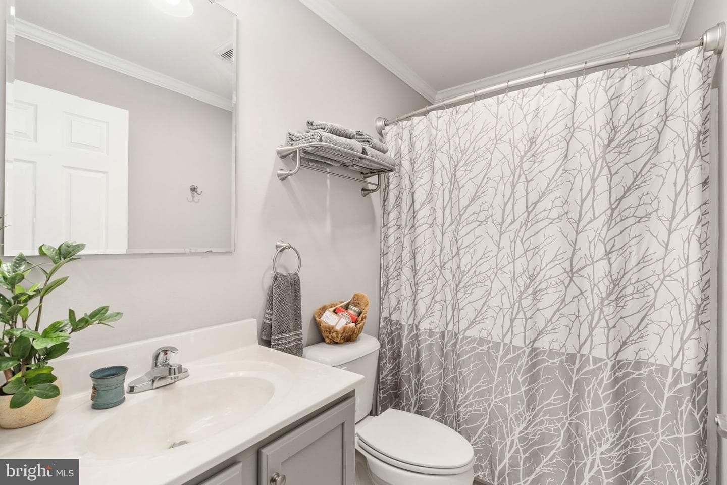 15704 Lake Lea Court photo 22