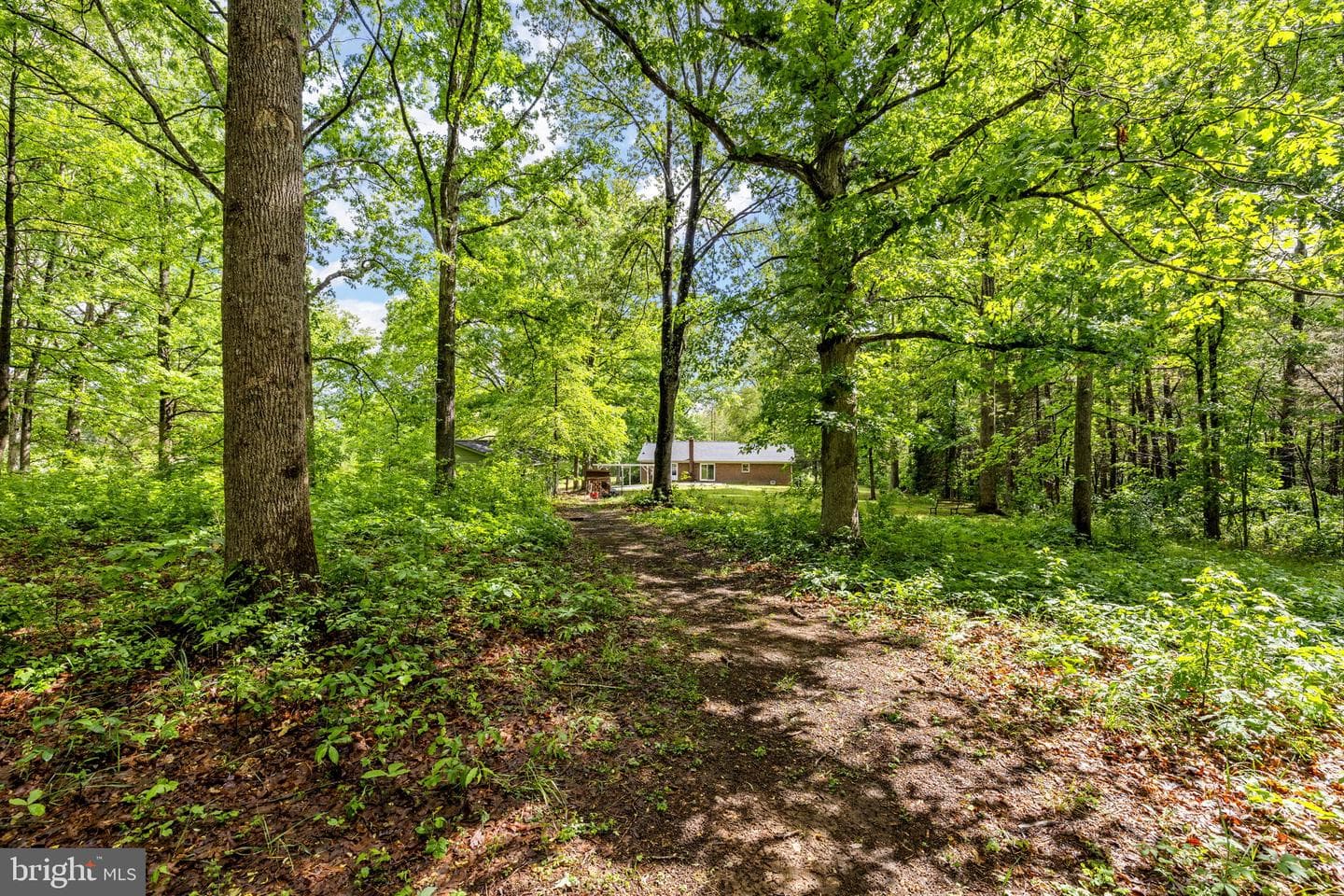 7501 Hunters Lodge Drive photo 26