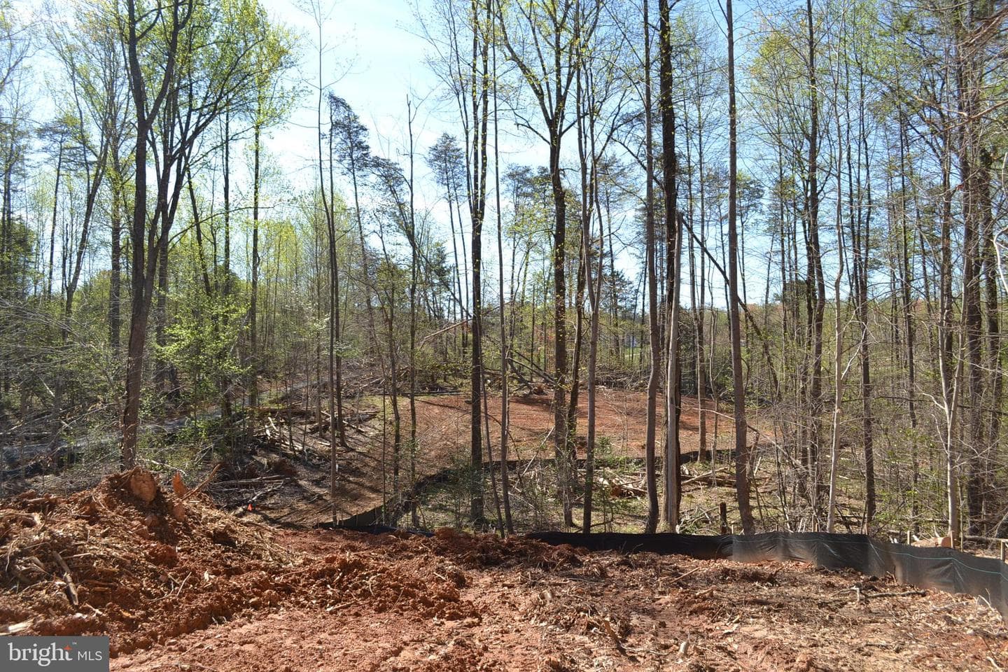 10631 Plank Road photo 3