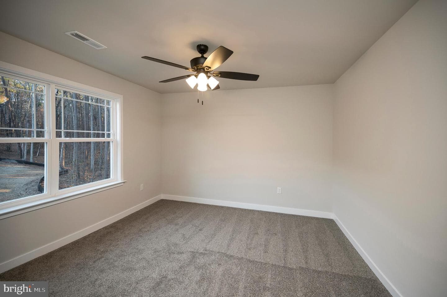 10631 Plank Road photo 39