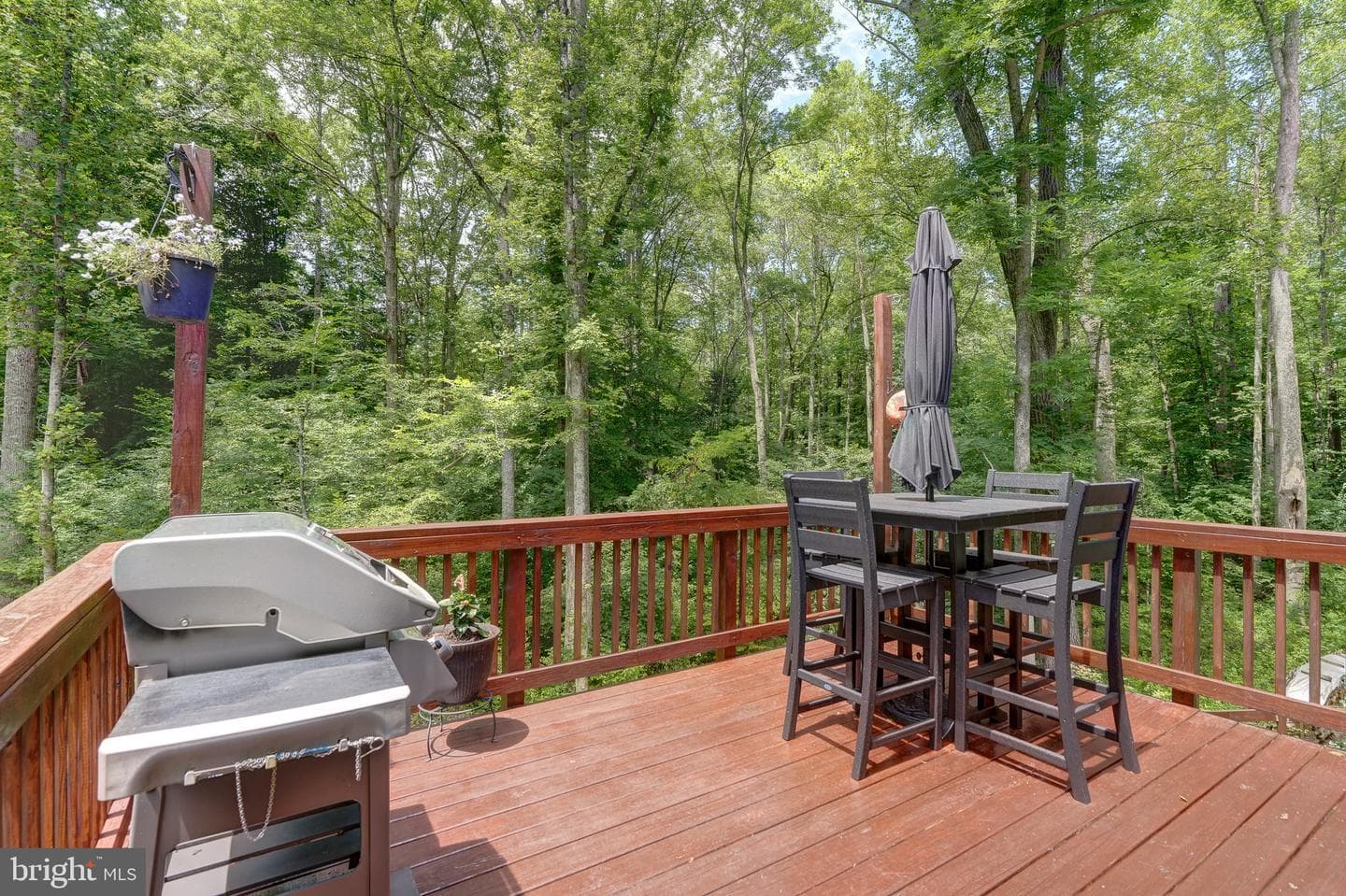 7314 Sugar Hollow Road photo 45
