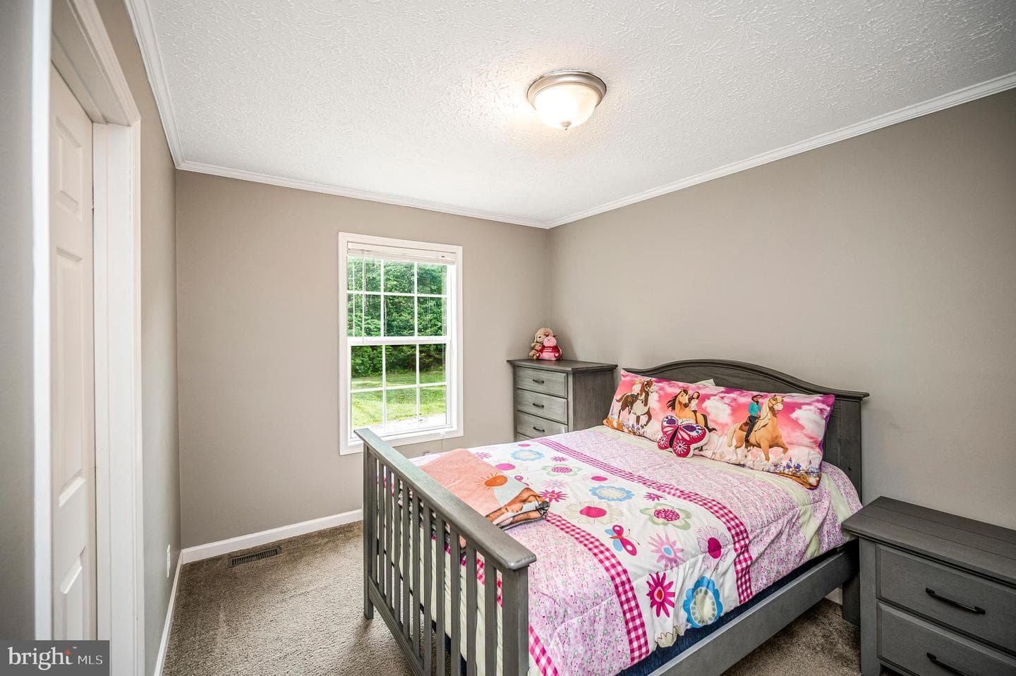 7324 Red Feather Lane photo 29