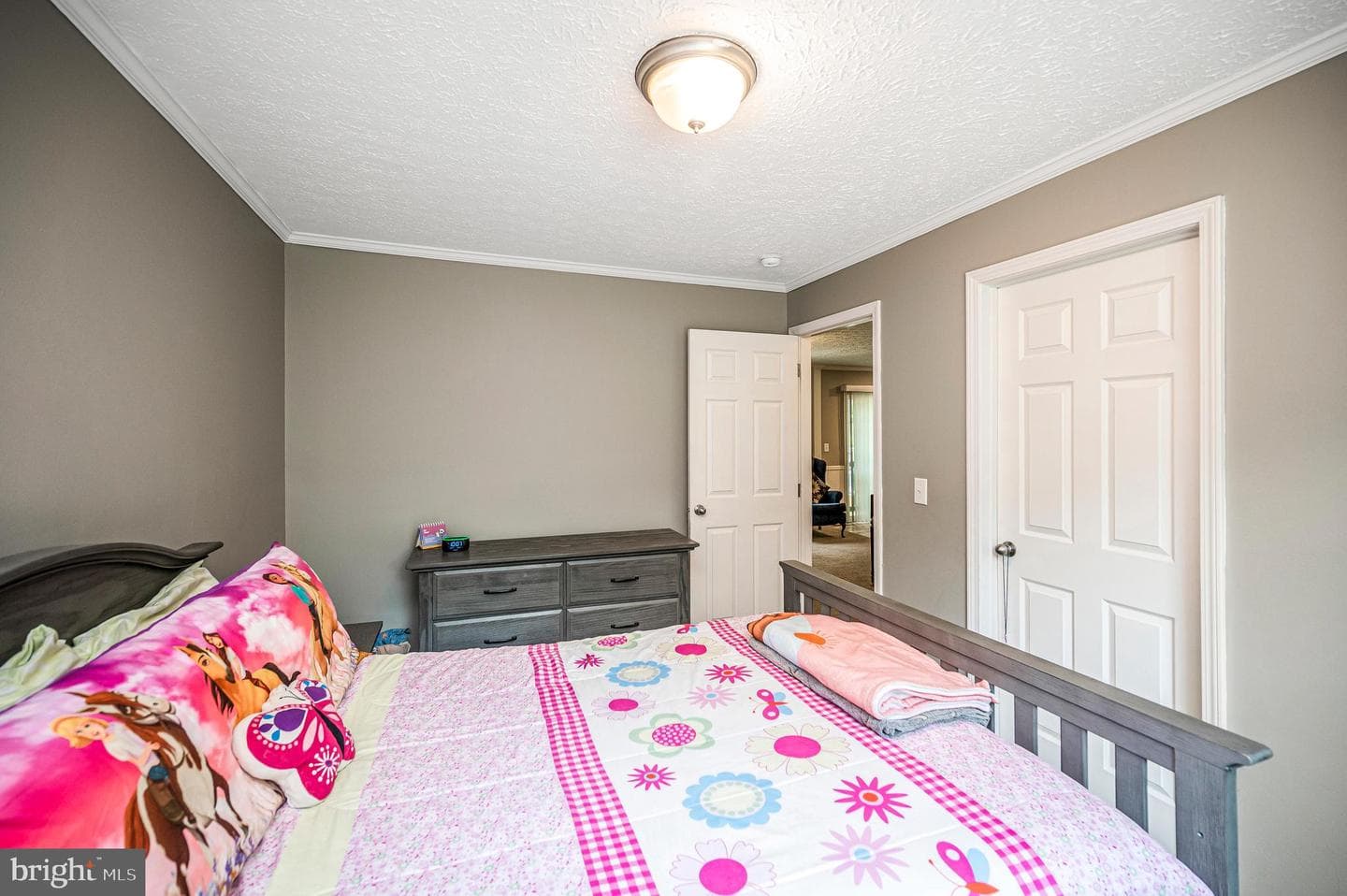 7324 Red Feather Lane photo 30