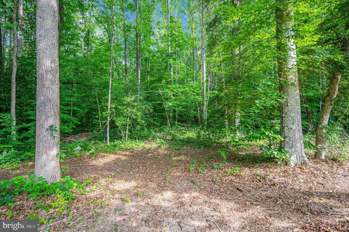 7324 Red Feather Lane photo 6