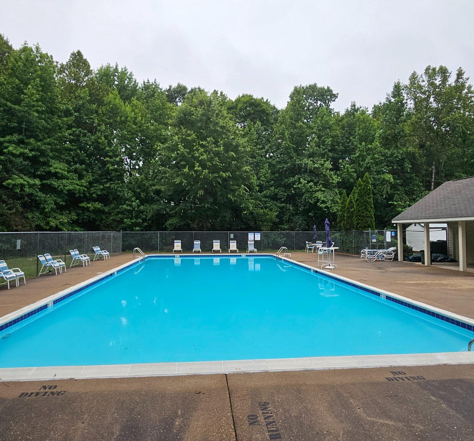 10015 Windridge Drive photo 48