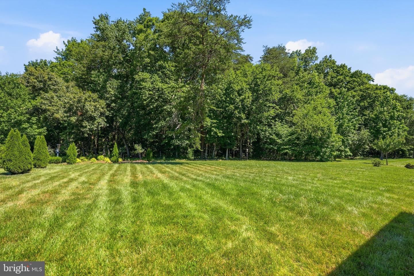 11704 Quail Run Court photo 45