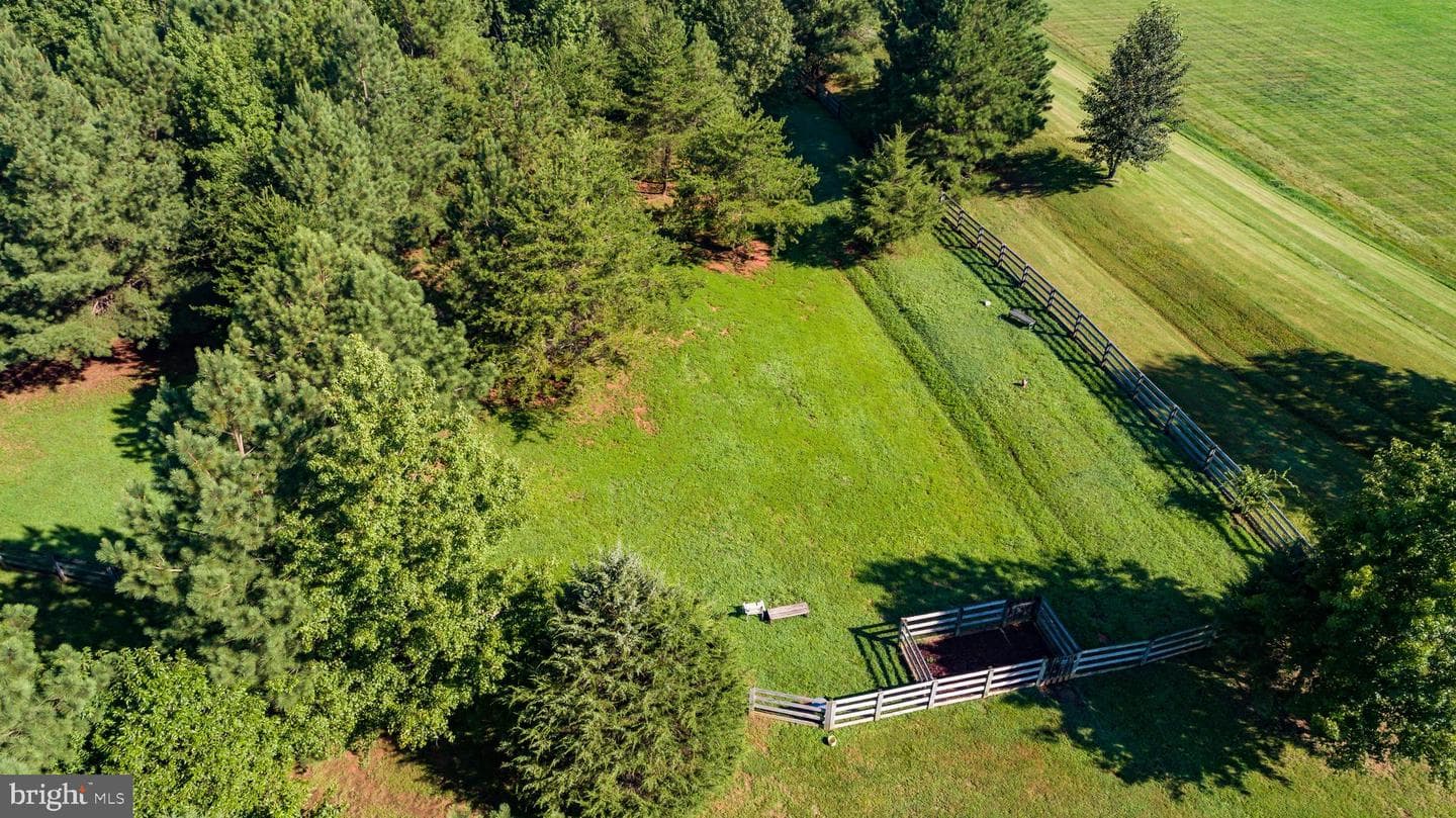 11704 Quail Run Court photo 71