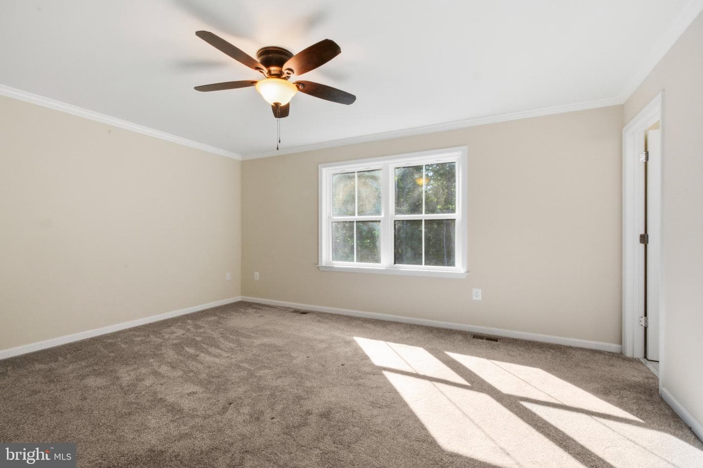 7401 Stubbs Bridge Road photo 22