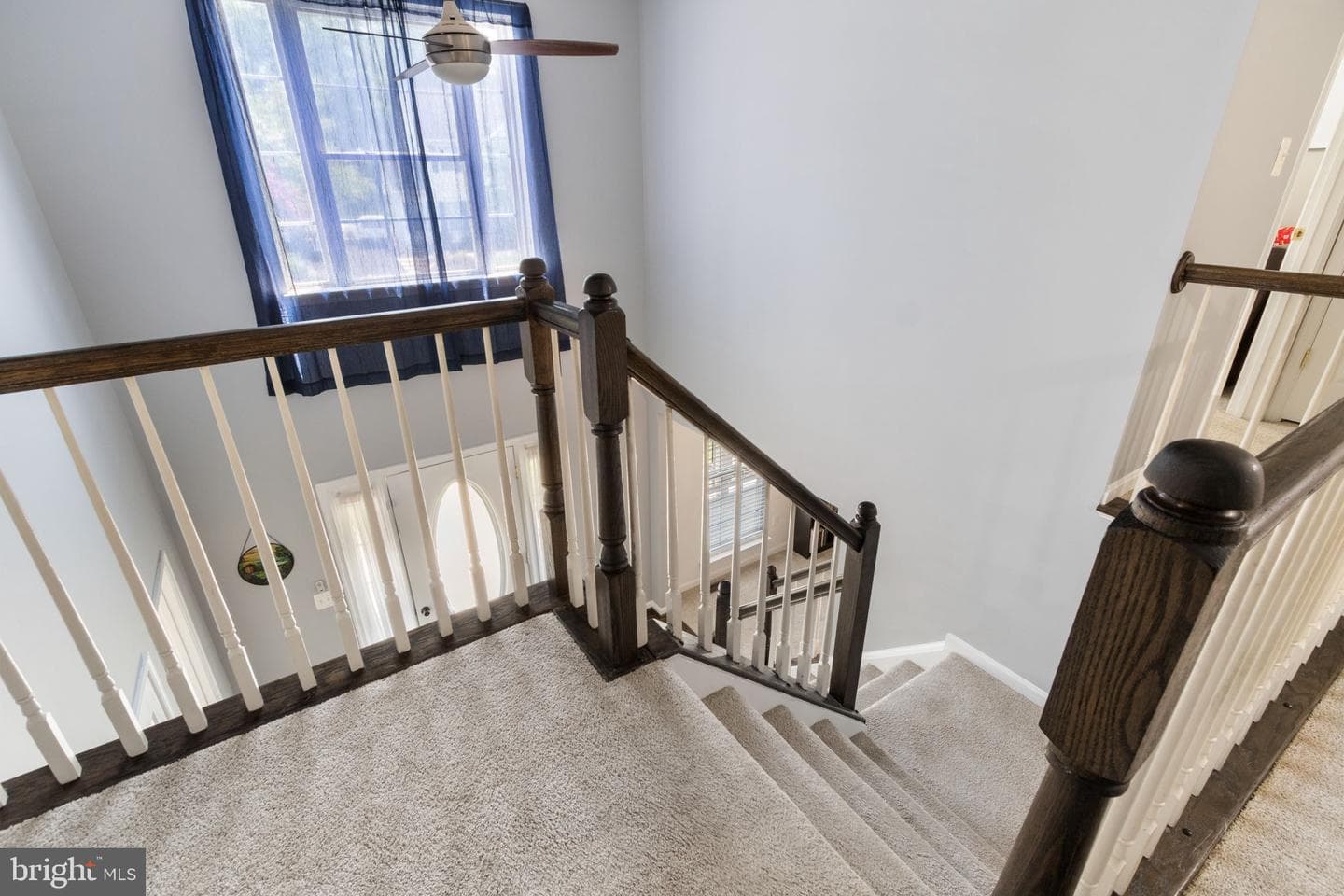 3803 Bricken Lane photo 35