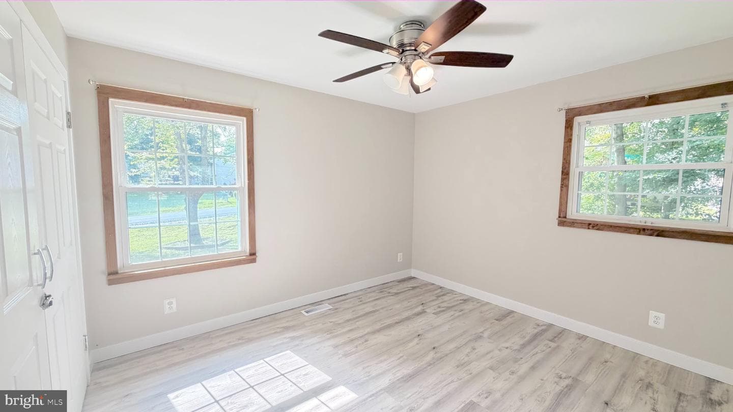 304 Albany Street photo 20