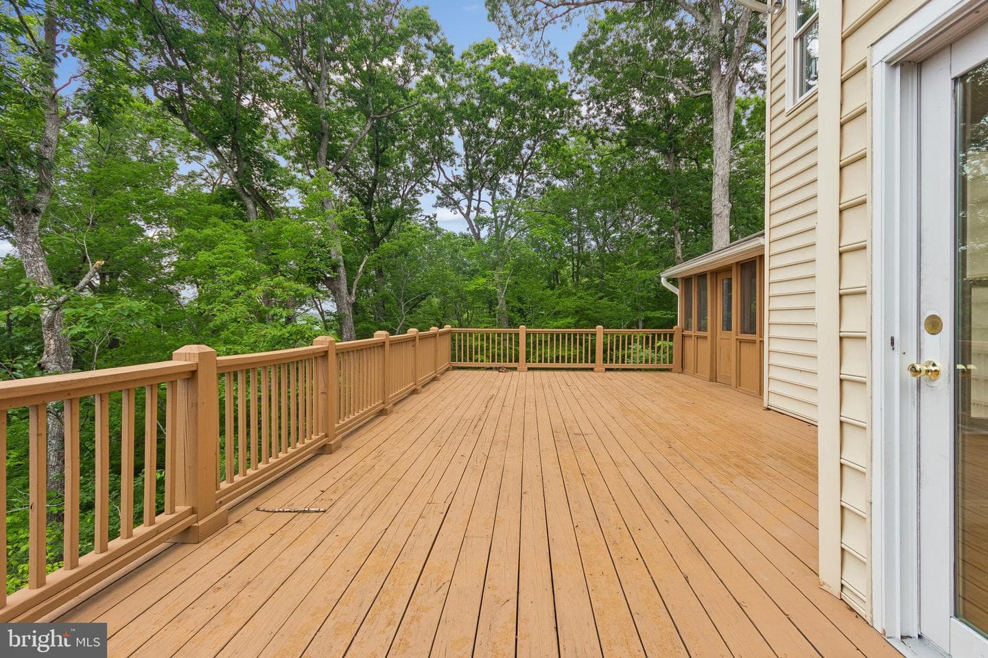 7317 River Road photo 21