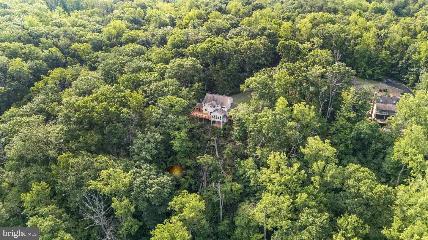 7317 River Road photo 32