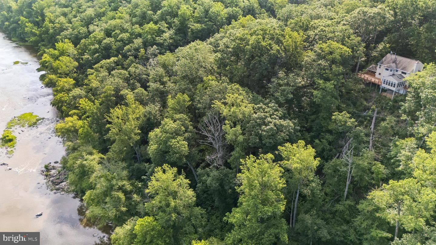 7317 River Road photo 33