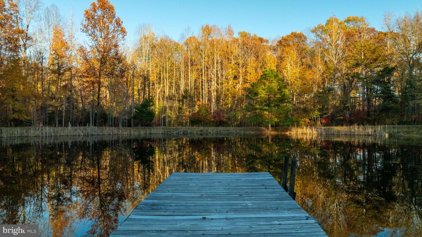 10325 Mill Pond Road photo 17