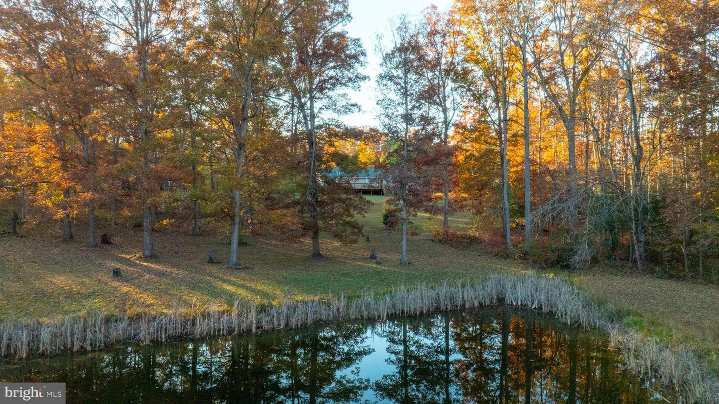 10325 Mill Pond Road photo 62
